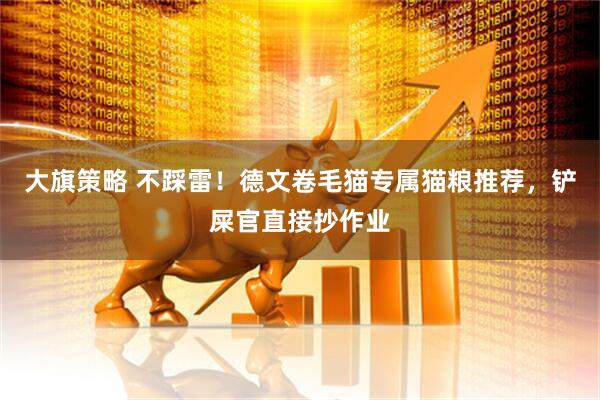 大旗策略 不踩雷！德文卷毛猫专属猫粮推荐，铲屎官直接抄作业