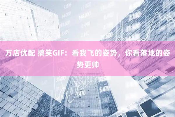万店优配 搞笑GIF:看我飞的姿势,你看落地的姿势更帅