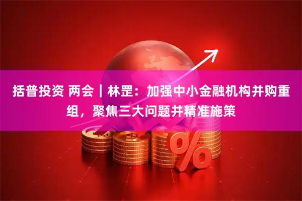 括普投资 两会｜林罡：加强中小金融机构并购重组，聚焦三大问题并精准施策